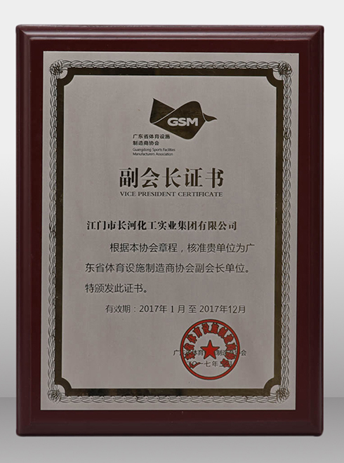 2017年广东省体育设施制造商协会-副会长证书