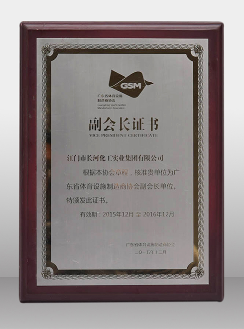 广东省体育设施制造商协会-副会长证书